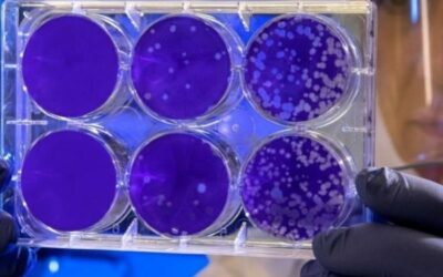 العلم وراء الأكسجين المضغوط وتجديد الخلايا